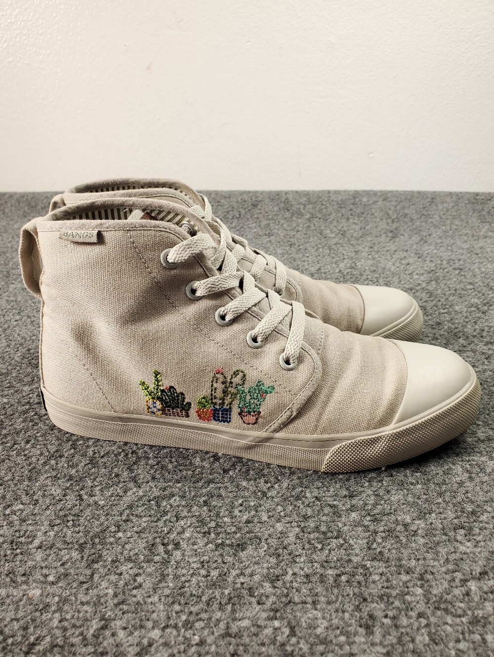 Bangs Shoes Womens 7.5 Canvas High Top Sneakers Embroidered Cactus Succulents
